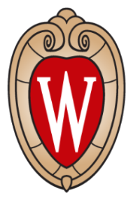UW-Madison College of Computing and Artificial Intelligence logo